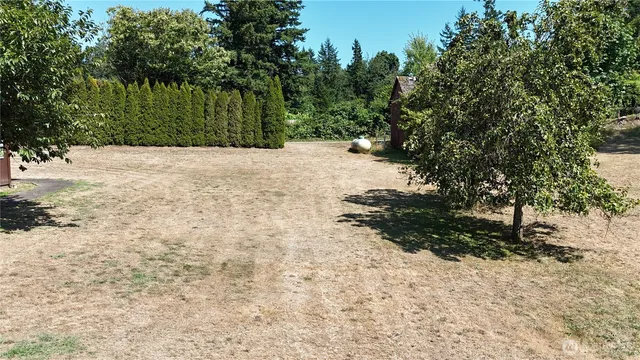 a view of a house with a yard and a large tree