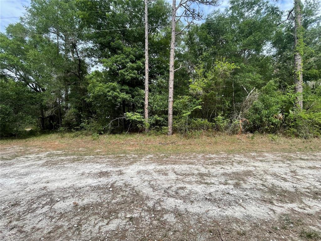 16486 Curlew Road Brooksville, FL 34614 - Photo 2 of 17
