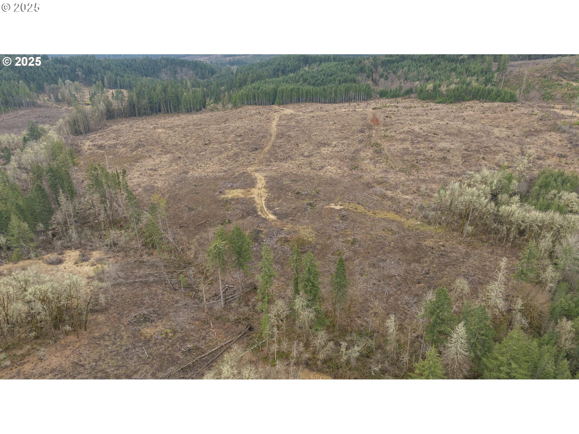 0 Northwest Panther Creek Road Yamhill, OR 97148 - Photo 26 of 28