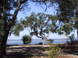 0 Hewett Point Road Santa Rosa Beach, FL 32459 - Photo 1 of 1 Gallery Image 1