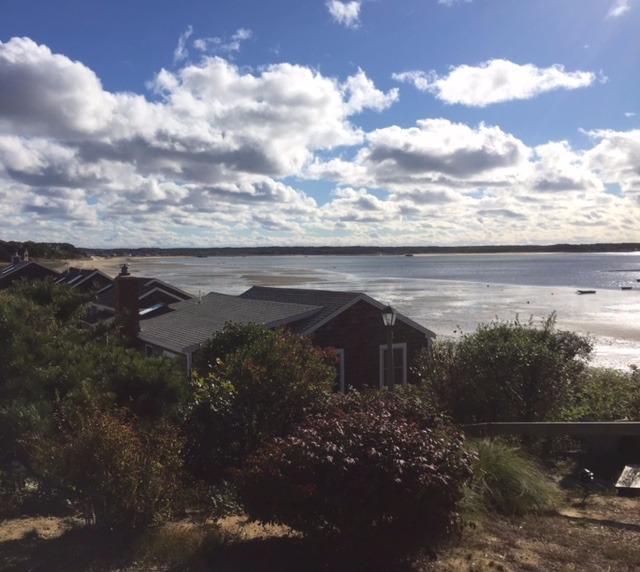 575 Chequessett Neck Road, Unit H Wellfleet, MA 02667 - Photo 1 of 30 Primary Photo