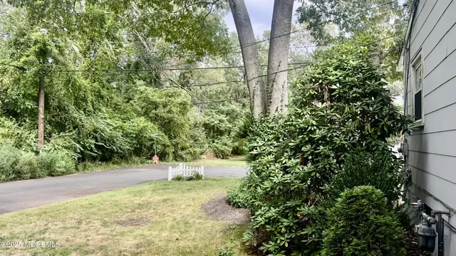 a view of a back yard