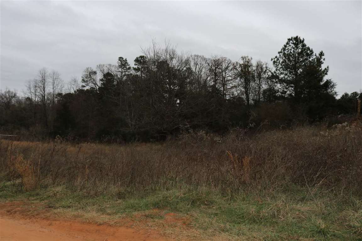 315 Bruce Road Westminster, SC 29693 - Photo 6 of 20 Gallery Image 6