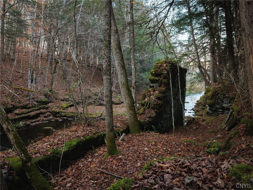 3421 Devoe Road Boonville, NY 13309 - Photo 47 of 50