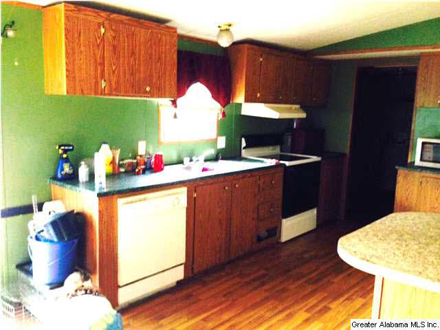 2615 6 Foot Road Ohatchee, AL 36271 - Photo 2 of 22