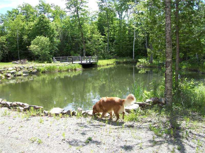 202 Bryant Road St. Albans, ME 04971 - Photo 8 of 28 Land/Lot. The ponds attract lots of...