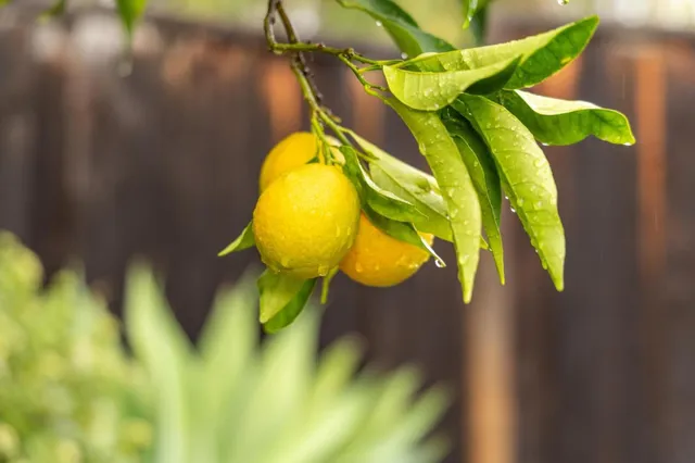 $1,398,000 | 386 Fleming Avenue, San Jose, CA 95127