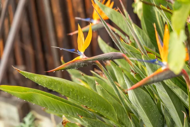 $1,398,000 | 386 Fleming Avenue, San Jose, CA 95127