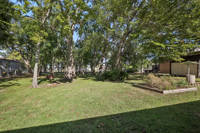 a view of a yard with tree