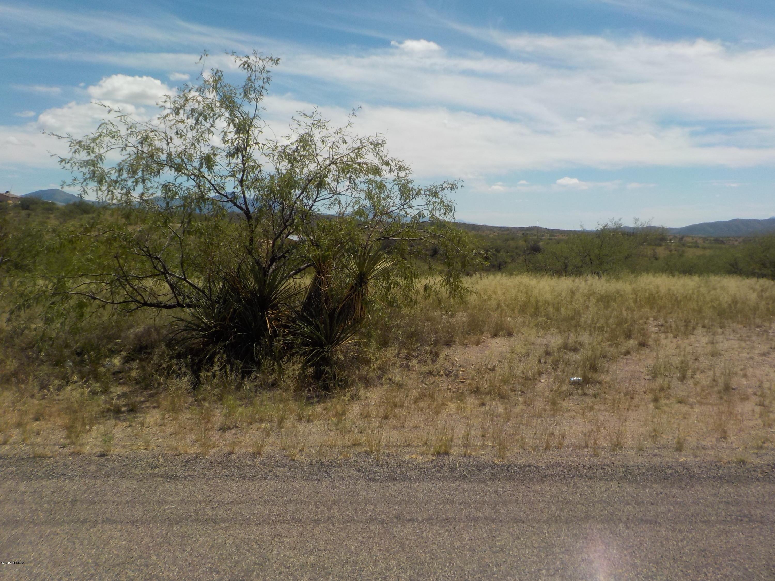 1015 Calle Coyote, Unit 43 Rio Rico, AZ 85648 - Photo 1 of 2