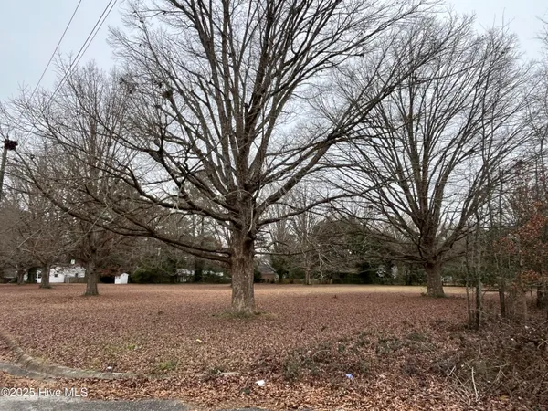 $41,000 | 1 Corner Fairly & Lanoca Avenue, Laurinburg, NC 28352