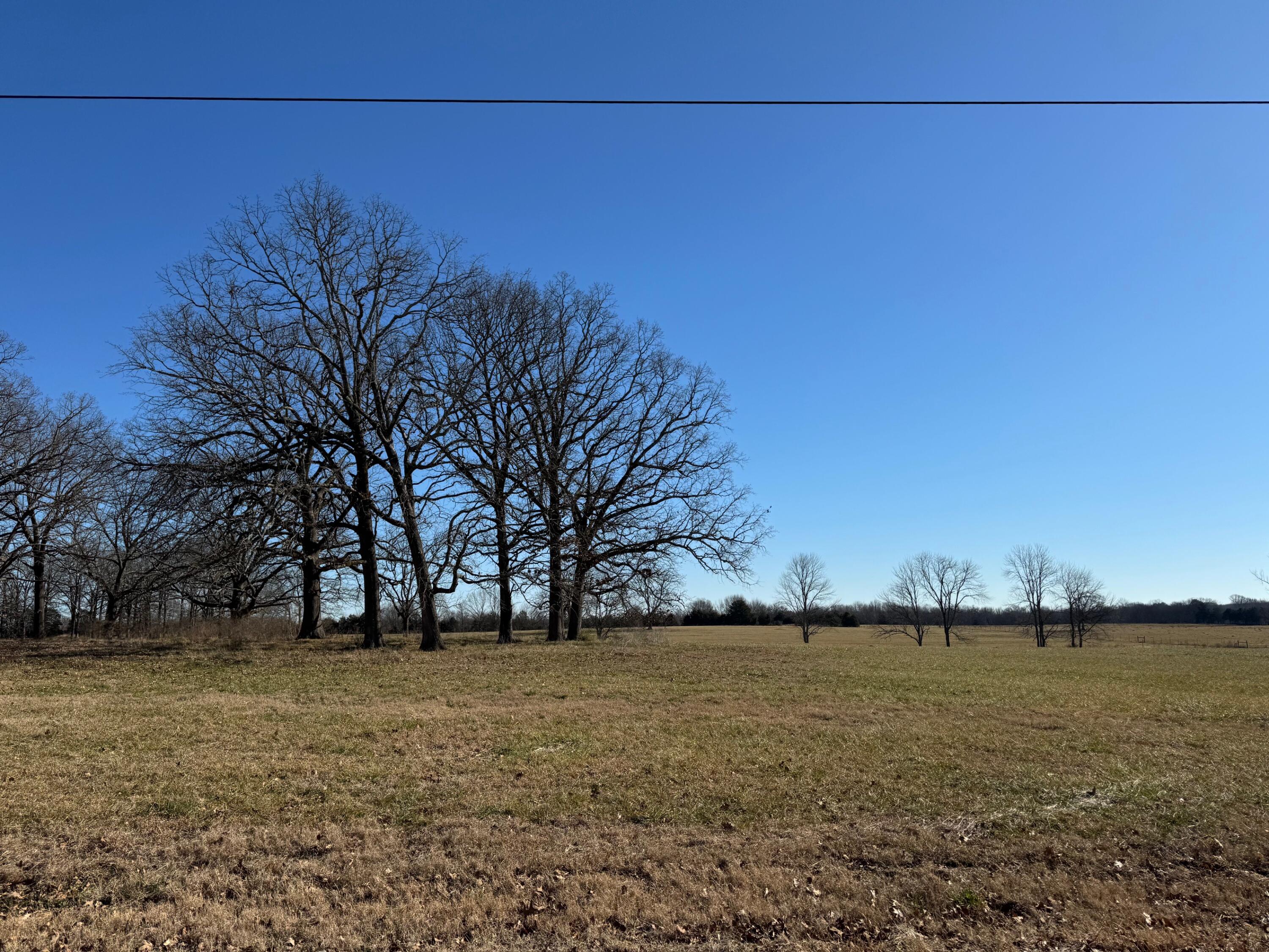 Lot6 Hunter's Ridge Guntown, MS 38849 - Photo 2 of 5 Gallery Image 2