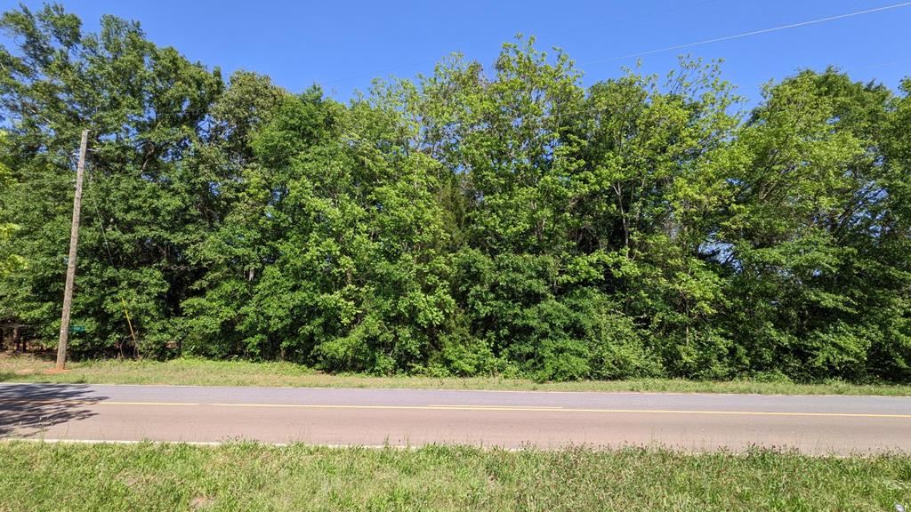 Undisclosed Address Headland, AL 36345 - Photo 1 of 5