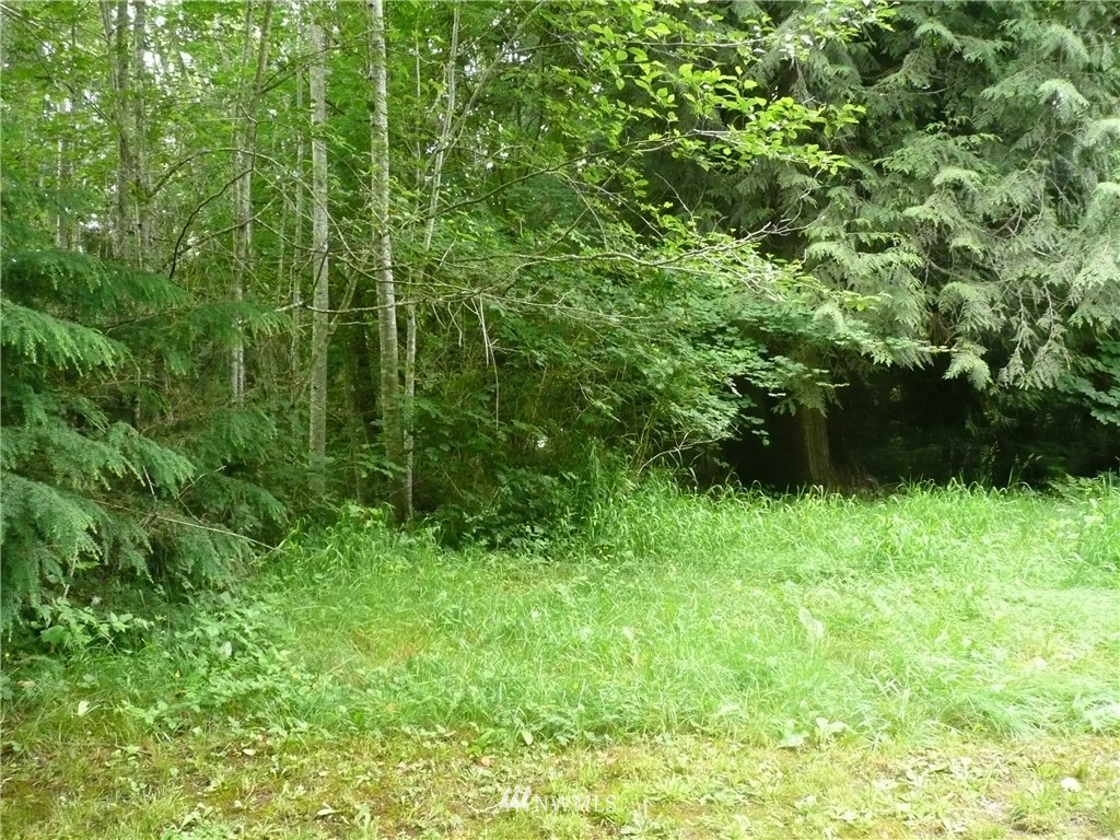 0 Skidder Hill Road Quilcene, WA 98376 - Photo 1 of 2