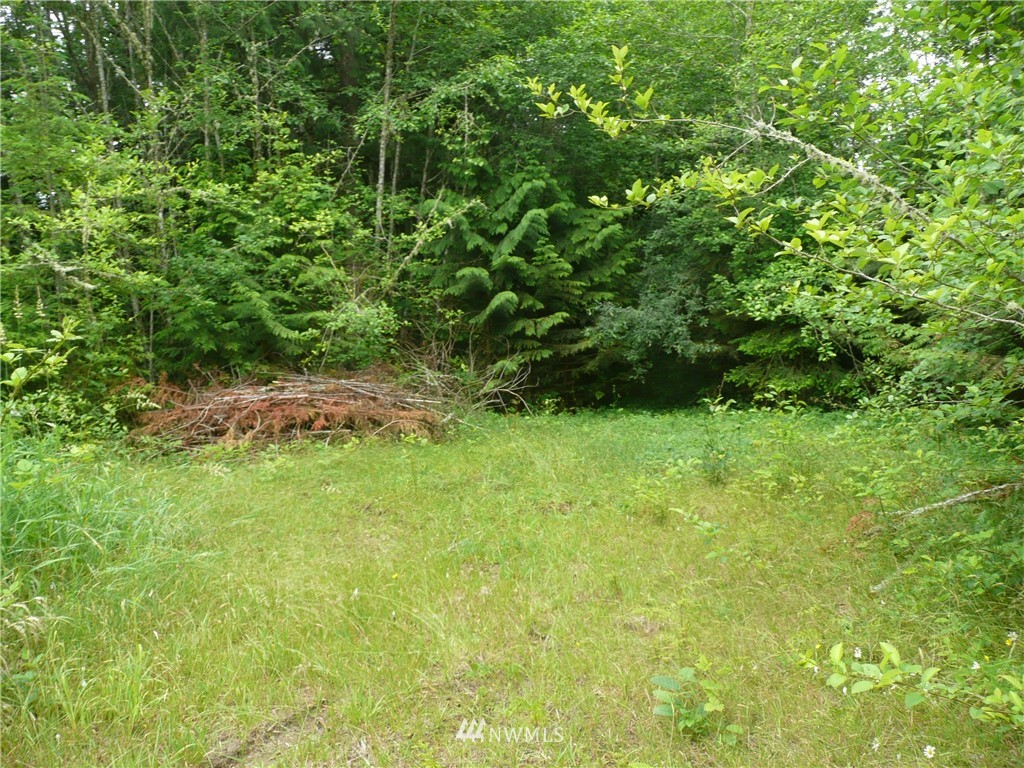 0 Skidder Hill Road Quilcene, WA 98376 - Photo 2 of 2