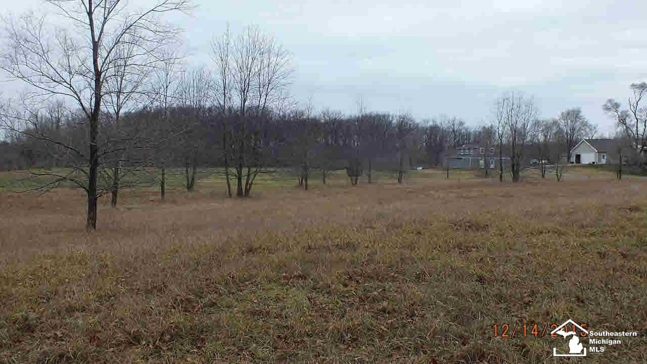 10 Yensch Road Milan, MI 48160 - Photo 6 of 6 20455244-5.JPG