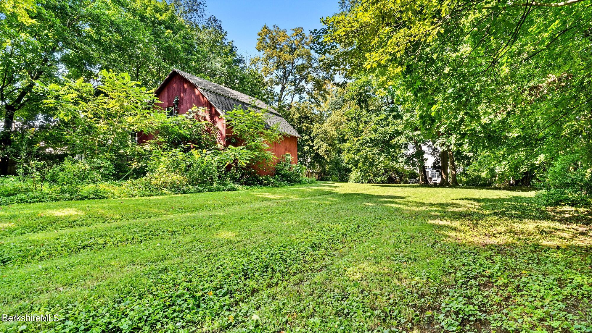 51 Holmes Road Pittsfield, MA 01201 - Photo 33 of 39 BACKYARD
