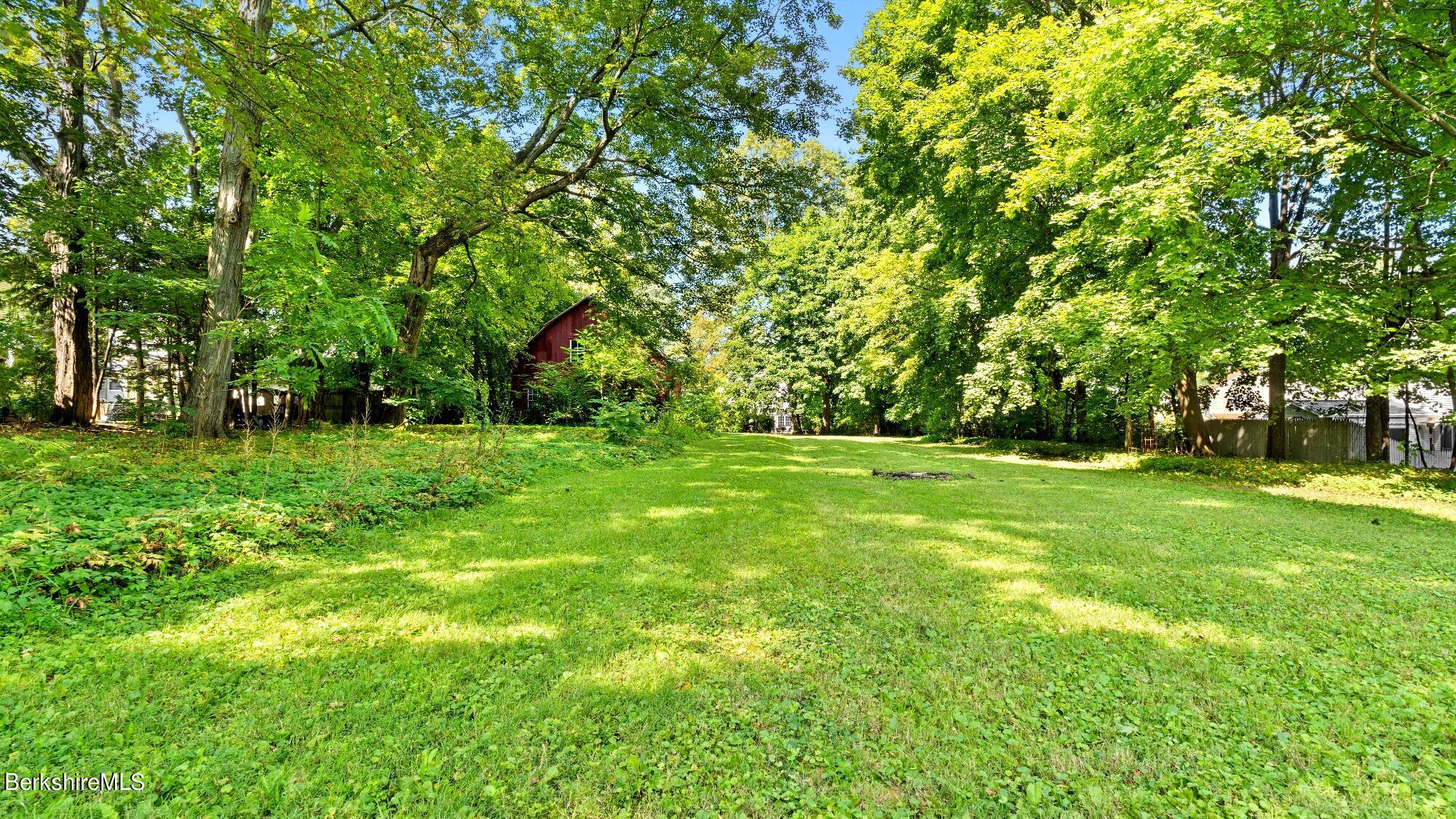 51 Holmes Road Pittsfield, MA 01201 - Photo 35 of 39 BACKYARD