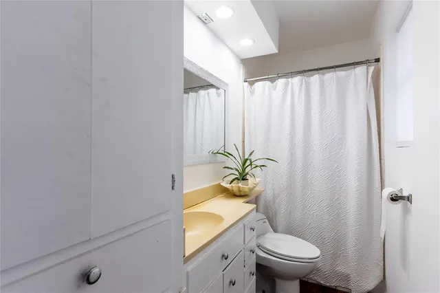 a bathroom with a sink a toilet a potted plant and a shower