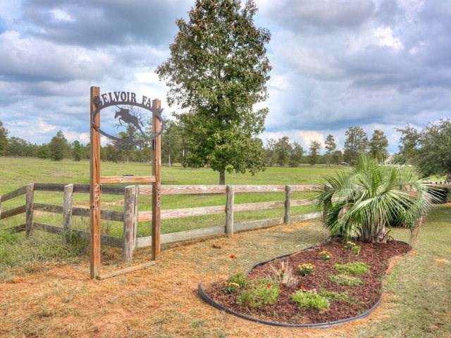 254 Beck Road Williston, SC 29853 - Photo 2 of 16