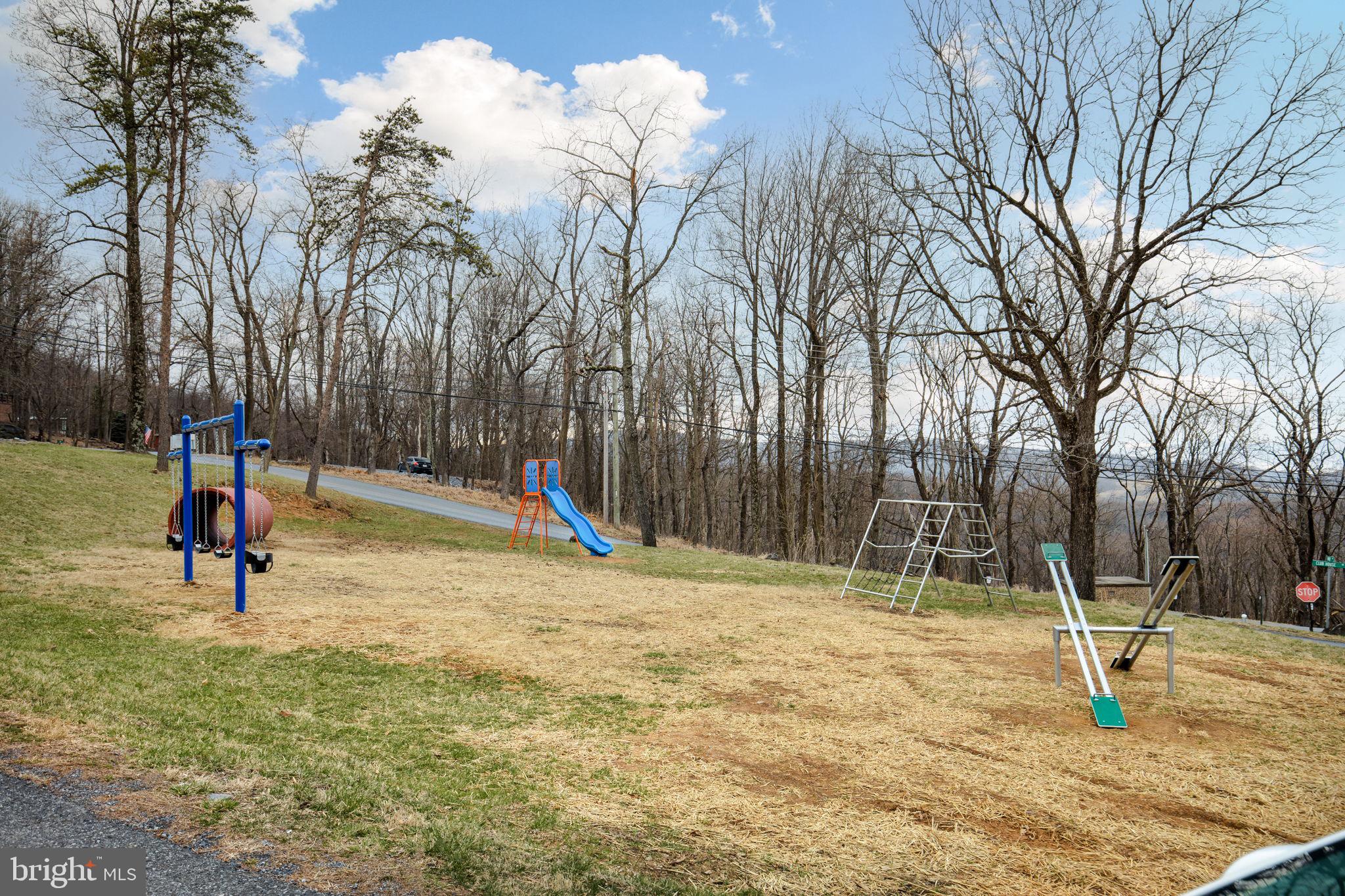 72 Pocahontas Road Front Royal, VA 22630 - Photo 31 of 31 Community Playground
