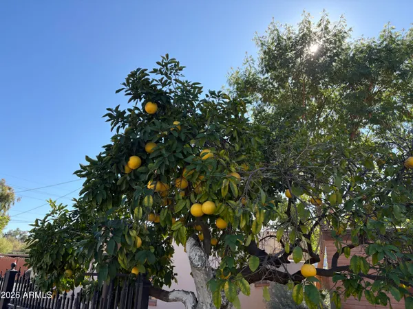 $209,900 | 5236 North 20th Street, Unit C4, Phoenix, AZ 85016