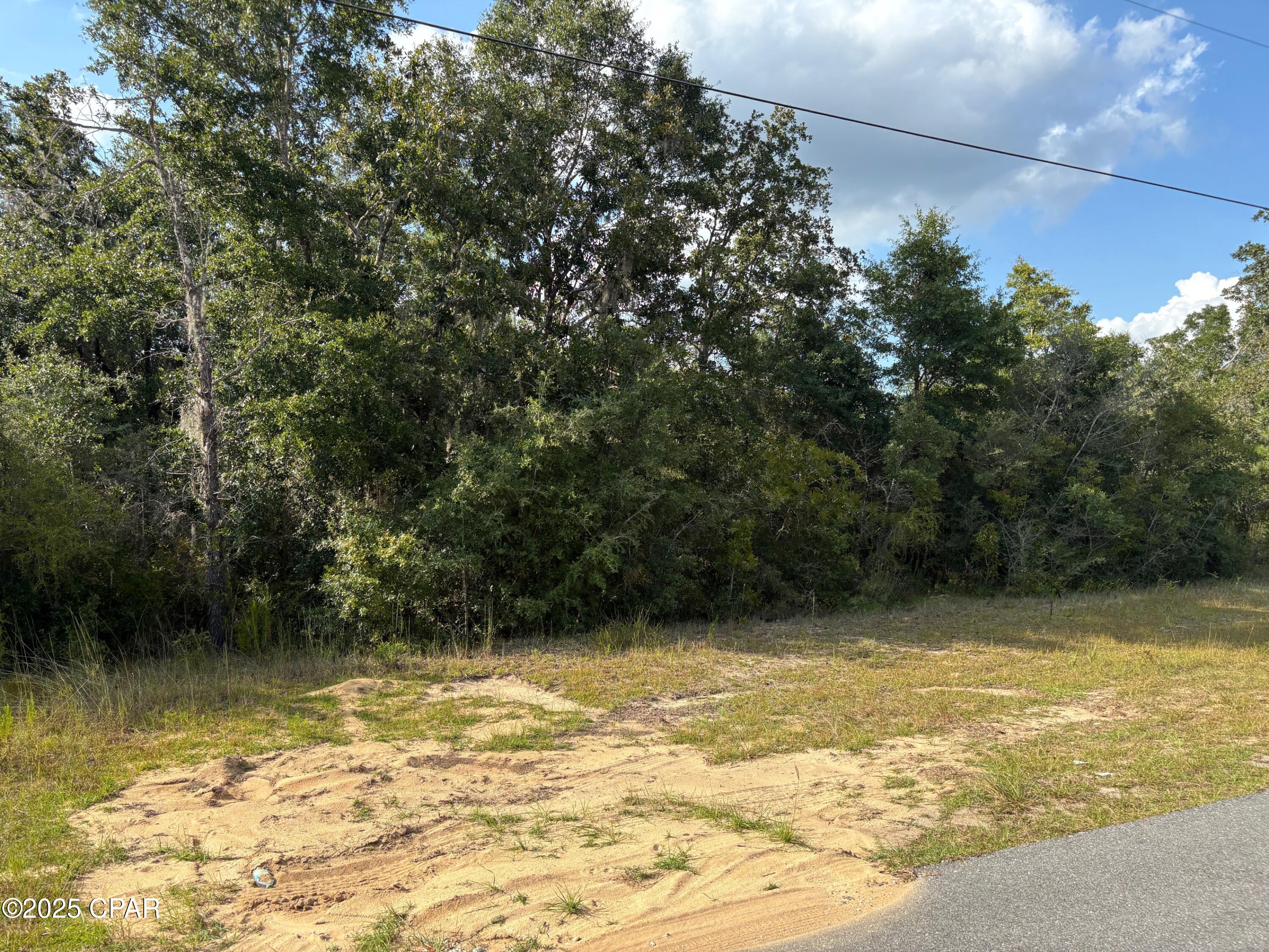 0 Airmont Drive Chipley, FL 32428 - Photo 2 of 2
