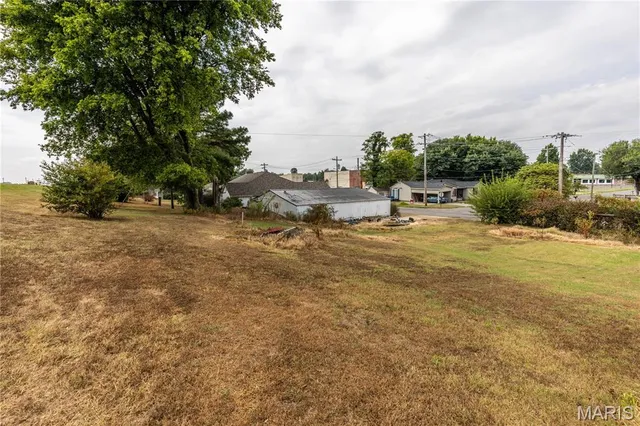 $95,000 | 402 Water Street, New Madrid, MO 63869