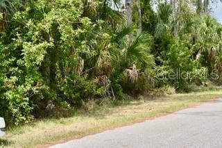 Bushnell Ave Port North Port, FL 34286 - Photo 3 of 9 a view of a yard with a tree