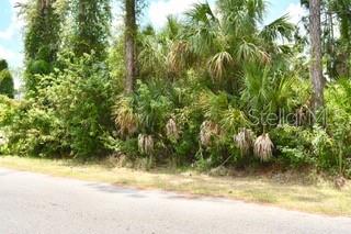 Bushnell Ave Port North Port, FL 34286 - Photo 5 of 9 a view of a yard with plants and trees