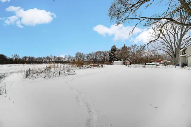 a view of ocean with trees