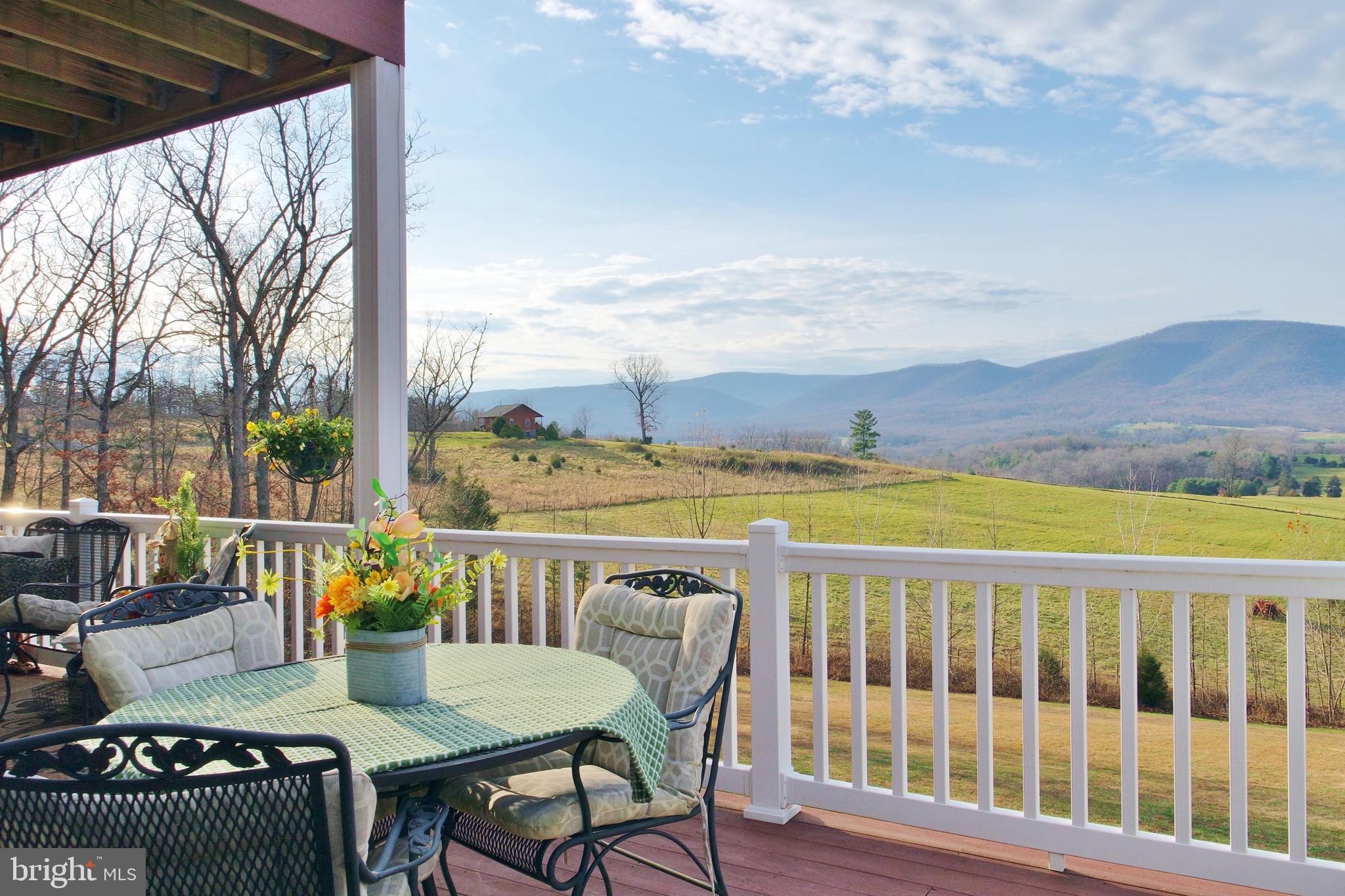 3026 St Davids Church Road Fort Valley, VA 22652 - Photo 3 of 80 Gallery Image 3