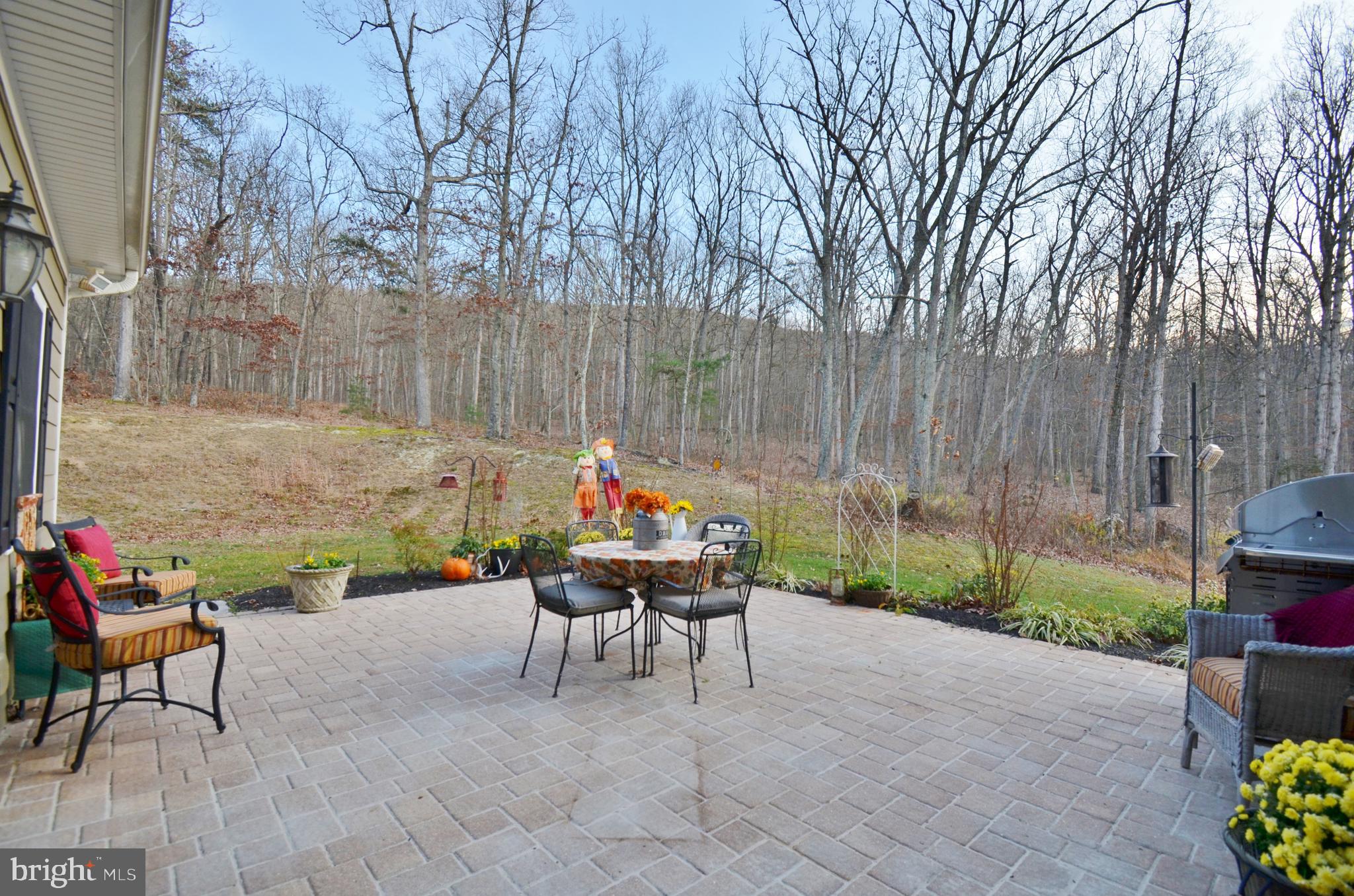 3026 St Davids Church Road Fort Valley, VA 22652 - Photo 38 of 80 Gallery Image 38