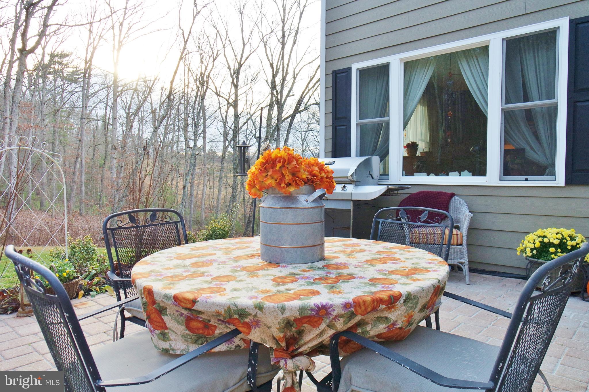 3026 St Davids Church Road Fort Valley, VA 22652 - Photo 39 of 80 Gallery Image 39