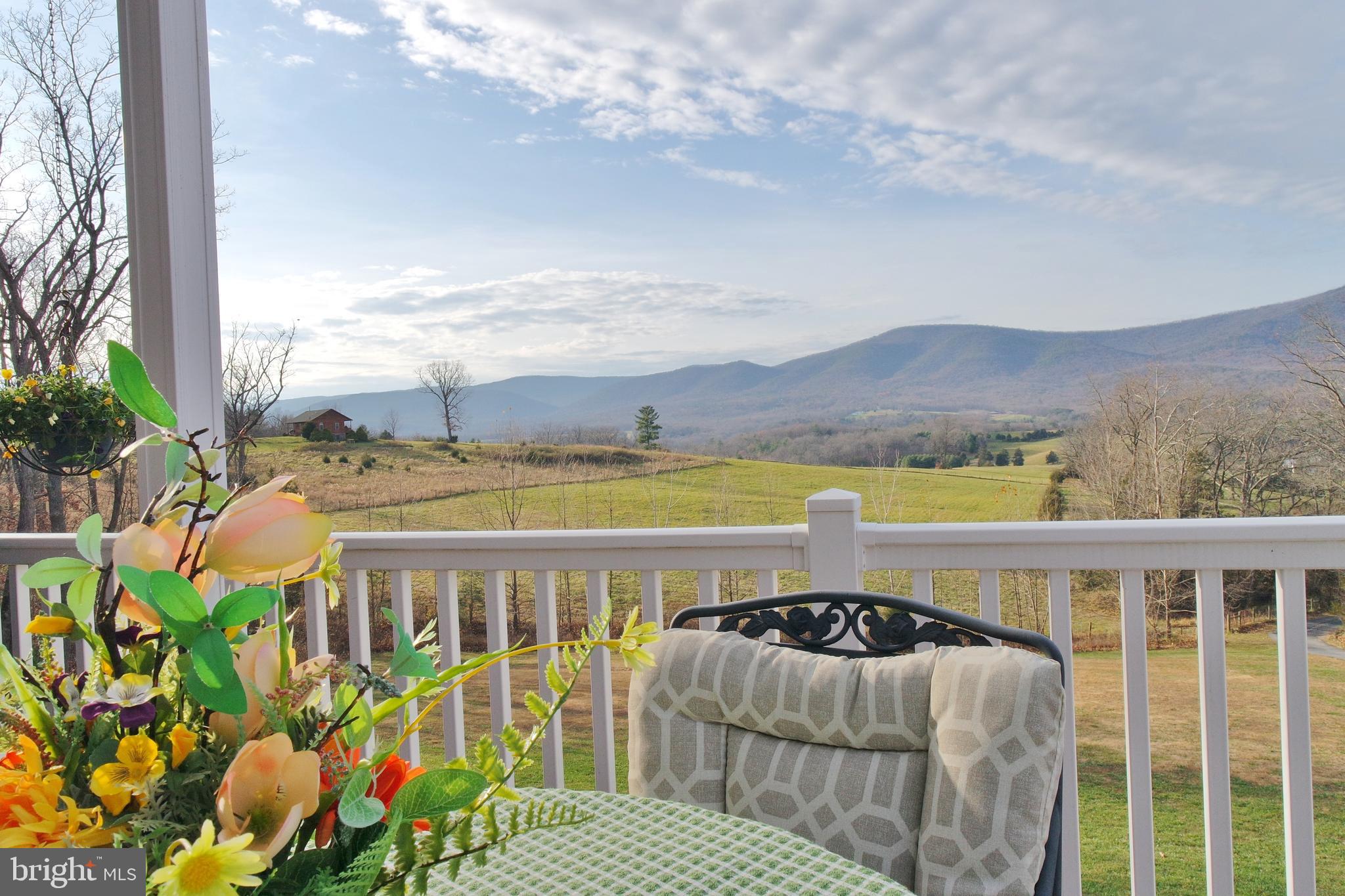 3026 St Davids Church Road Fort Valley, VA 22652 - Photo 4 of 80 Gallery Image 4