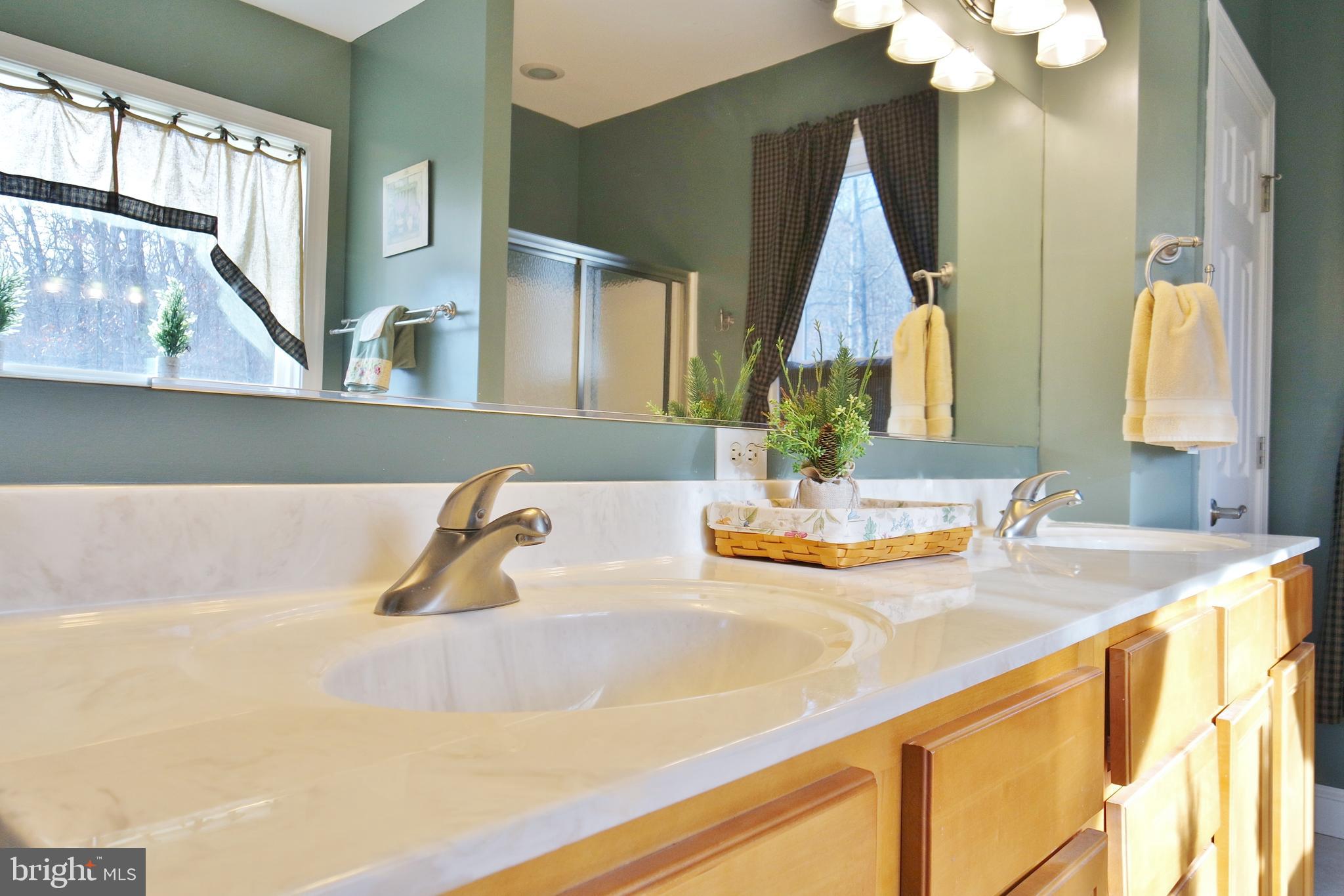 3026 St Davids Church Road Fort Valley, VA 22652 - Photo 47 of 80 Gallery Image 47