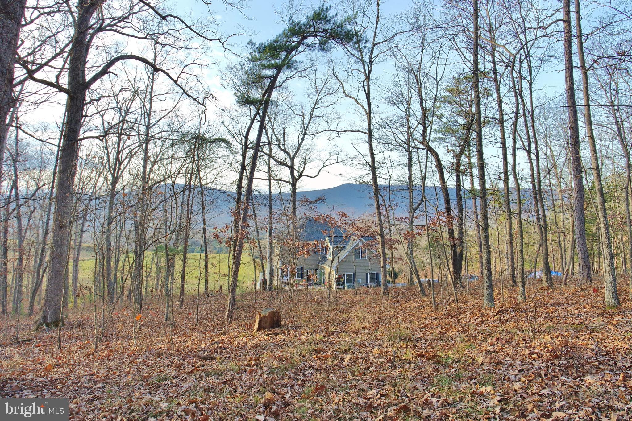 3026 St Davids Church Road Fort Valley, VA 22652 - Photo 78 of 80 Gallery Image 78
