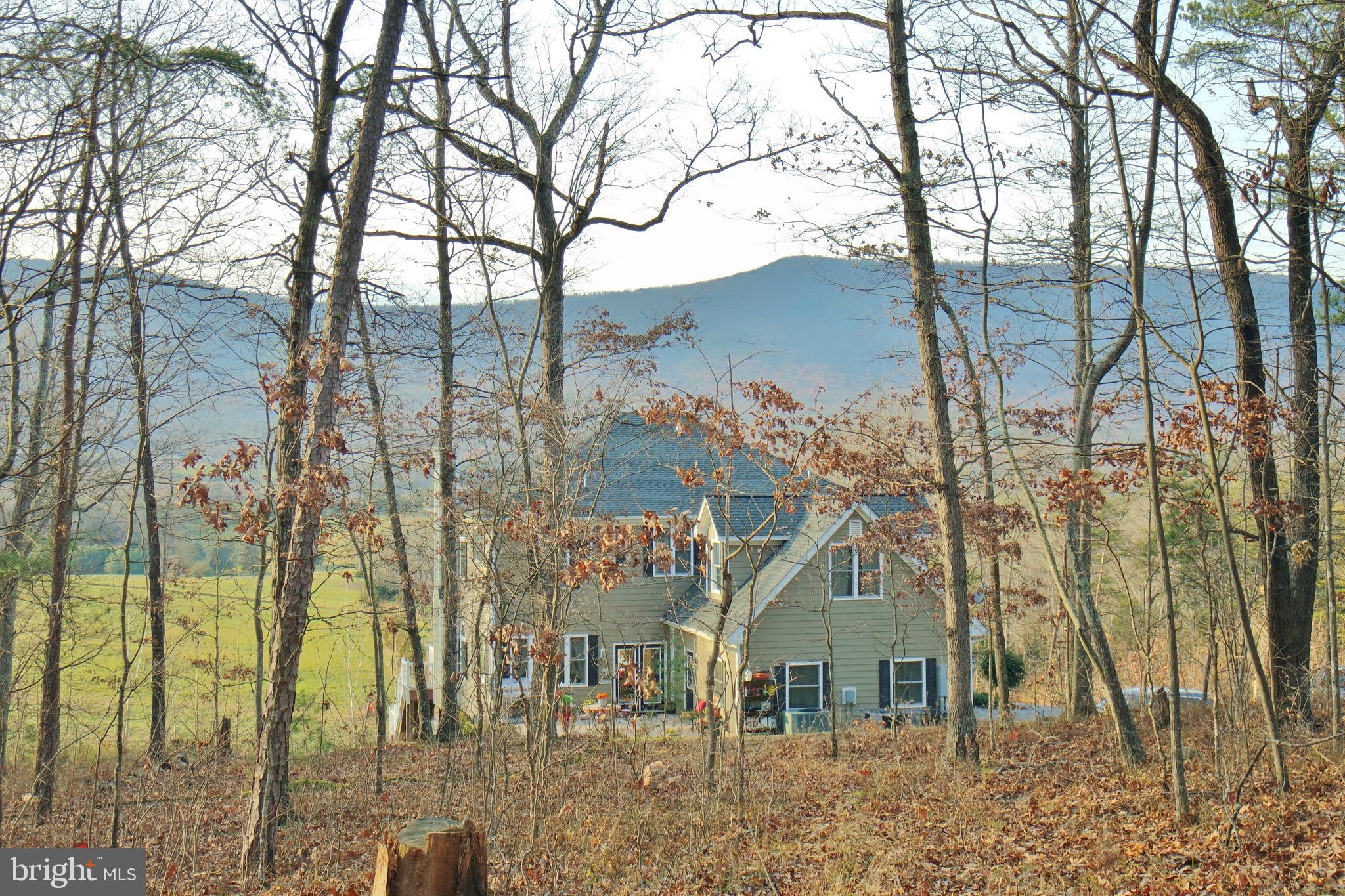 3026 St Davids Church Road Fort Valley, VA 22652 - Photo 79 of 80 Gallery Image 79