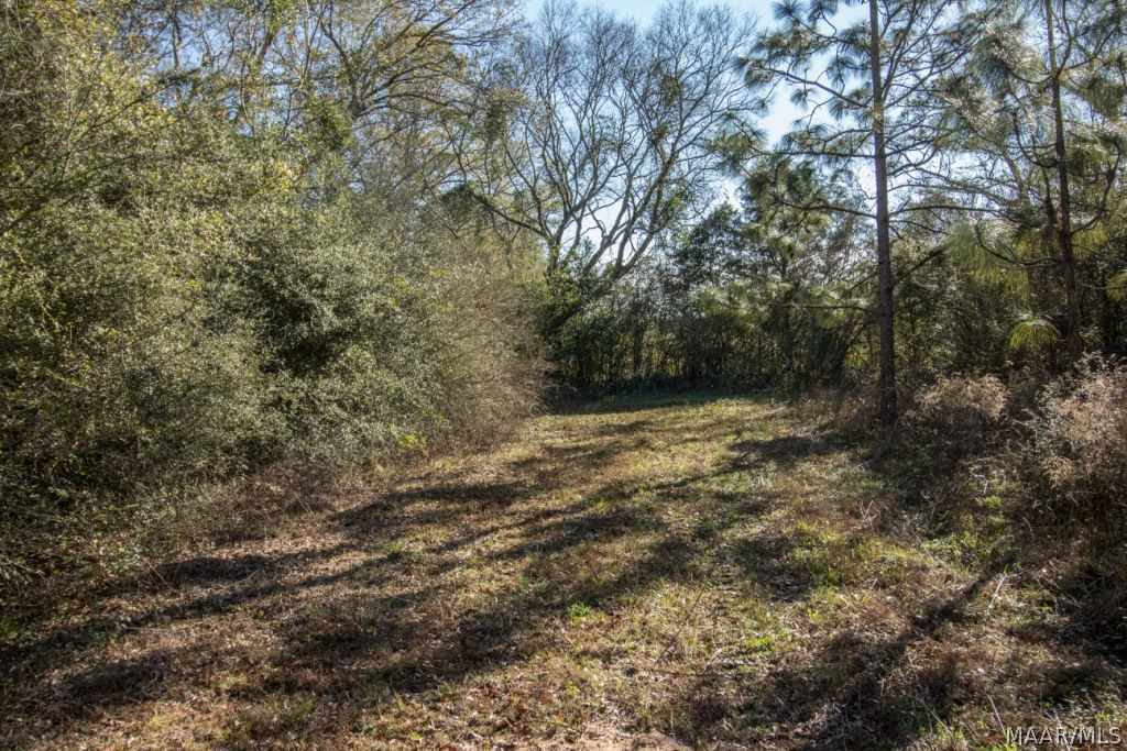 40-acres Austin Road Black, AL 36314 - Photo 18 of 28 Gallery Image 18