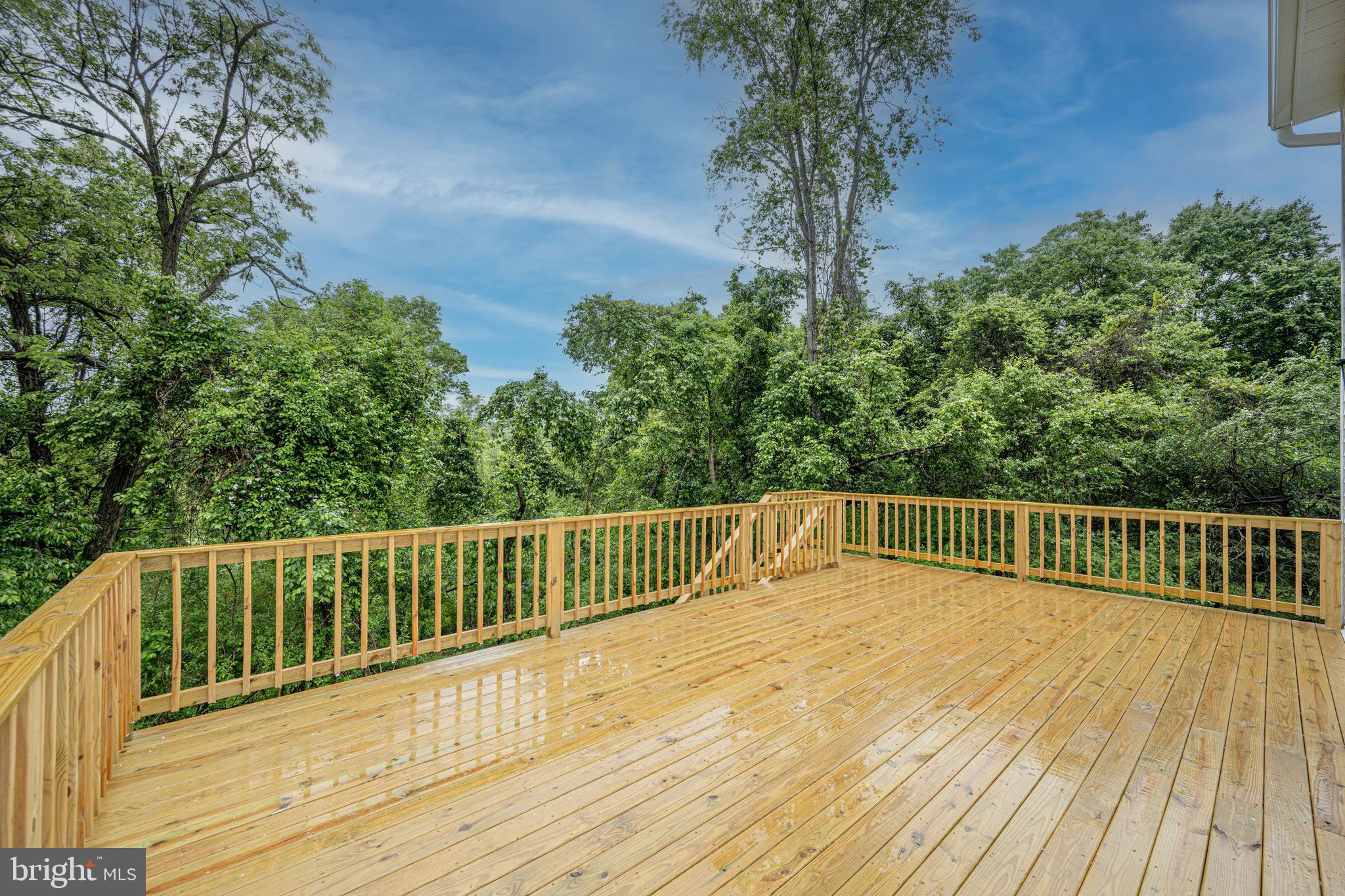 20816 Bell Bluff Road Gaithersburg, MD 20882 - Photo 47 of 55