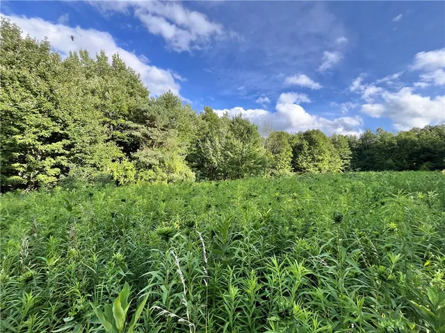 $139,900 | -held #12 Held Road, Erin, NY 14838