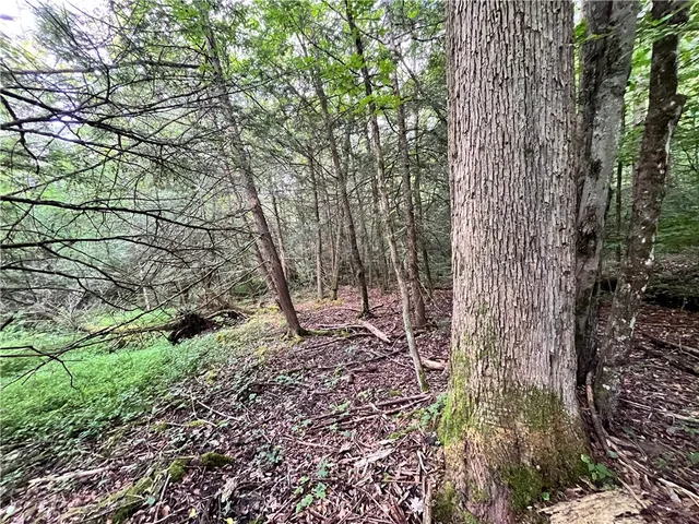 $139,900 | -held #12 Held Road, Erin, NY 14838