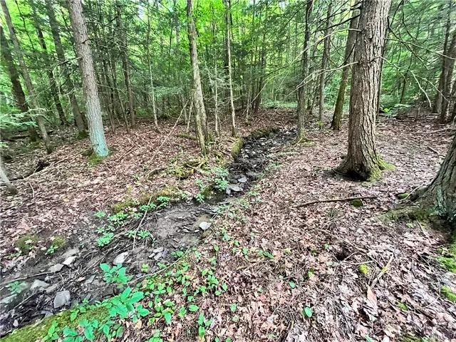 $139,900 | -held #12 Held Road, Erin, NY 14838