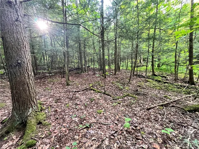 $139,900 | -held #12 Held Road, Erin, NY 14838