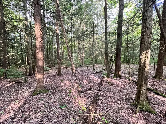 $139,900 | -held #12 Held Road, Erin, NY 14838