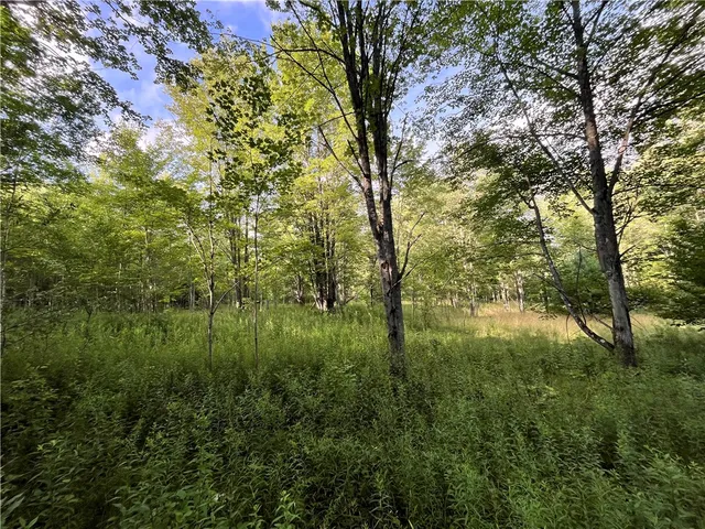 $139,900 | -held #12 Held Road, Erin, NY 14838