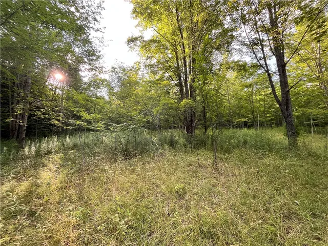 $139,900 | -held #12 Held Road, Erin, NY 14838