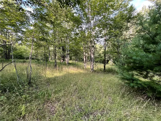 $139,900 | -held #12 Held Road, Erin, NY 14838