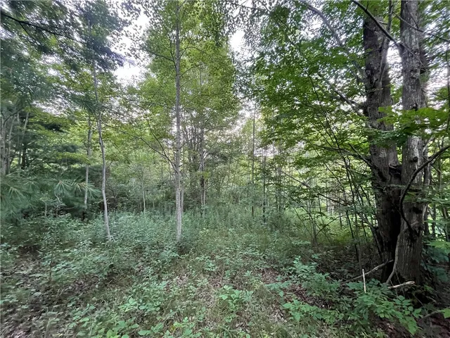 $139,900 | -held #12 Held Road, Erin, NY 14838