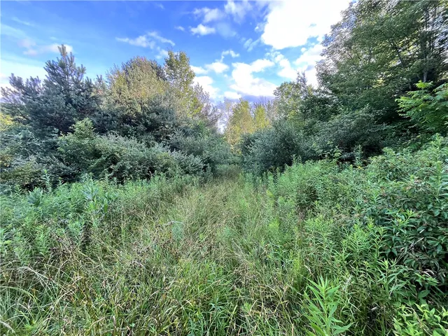 $139,900 | -held #12 Held Road, Erin, NY 14838